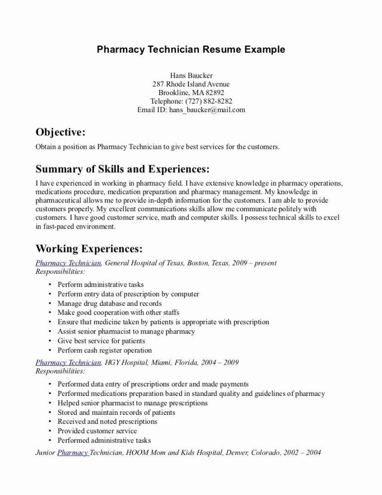 Technician Resume Summary Examples