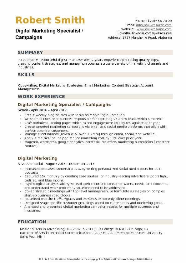 Digital Marketing Specialist Resume Sample