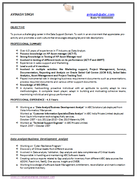 Work Experience Resume Template