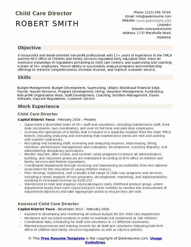 Child Care Provider Resume Sample