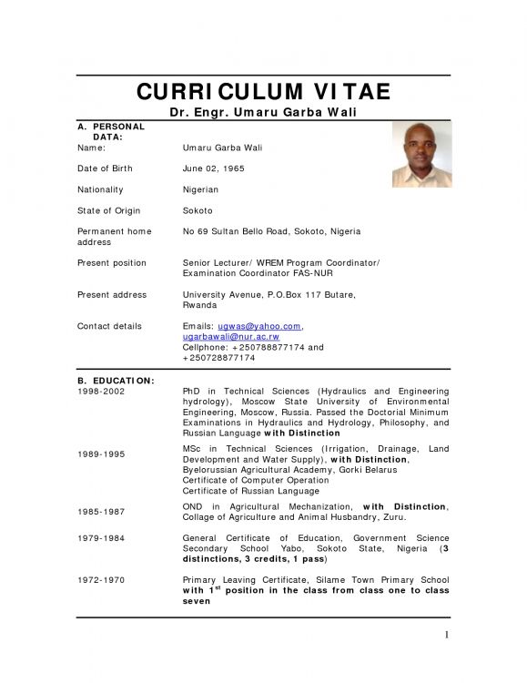 Cv Template Examples