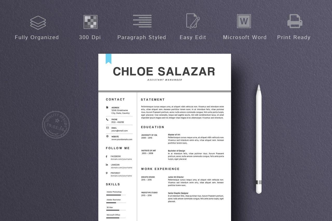 Best Cv Template Word 2 Pages