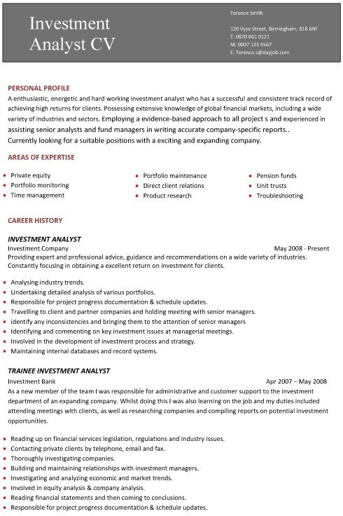 Example Of Professional Cv