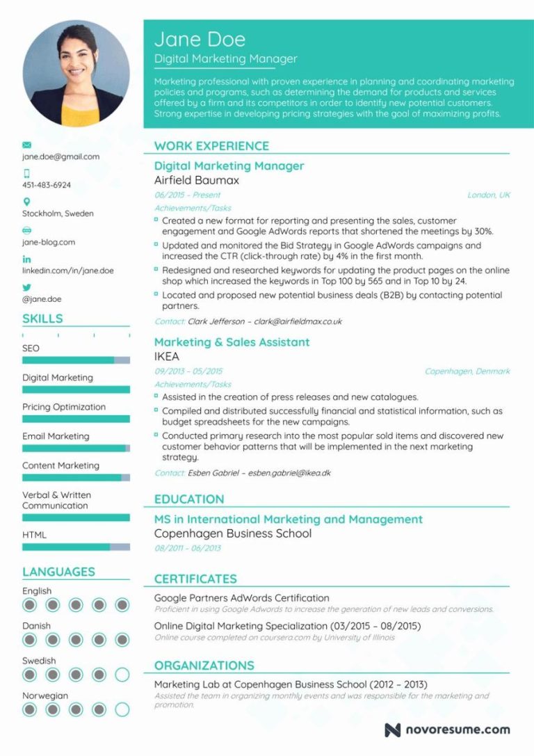 Indian Chef Resume Sample