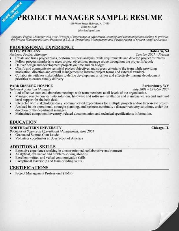 Software Project Manager Cv Example