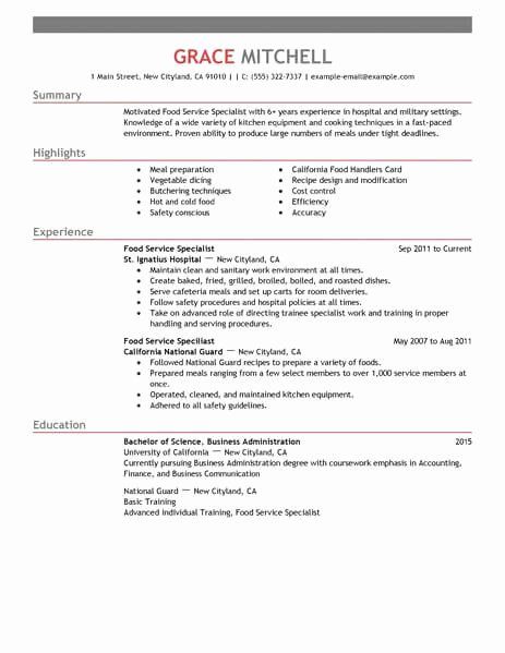 Tech Support Resume Examples