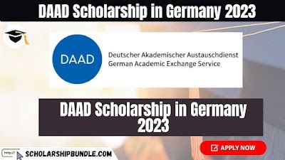 How Much Is Daad Scholarship