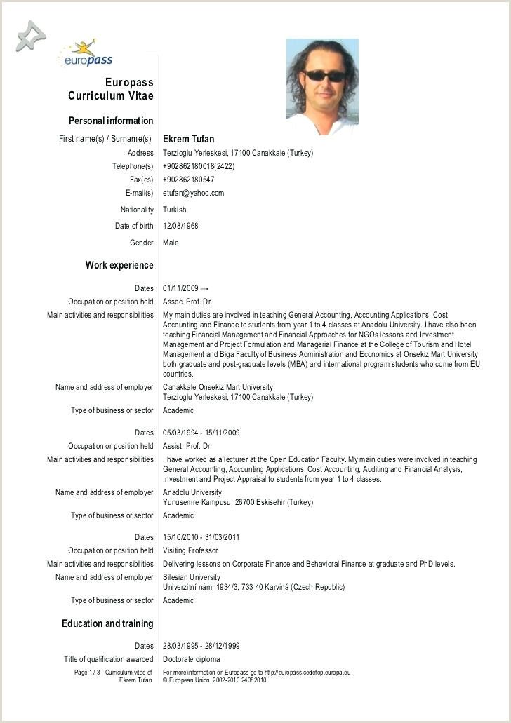 Executive Chef Resume Examples
