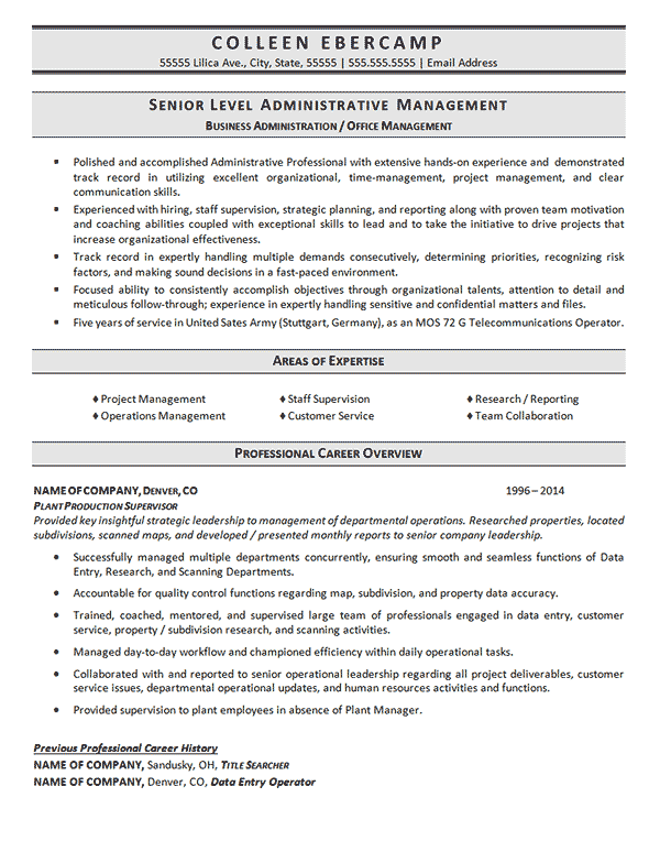 Business Cv Example