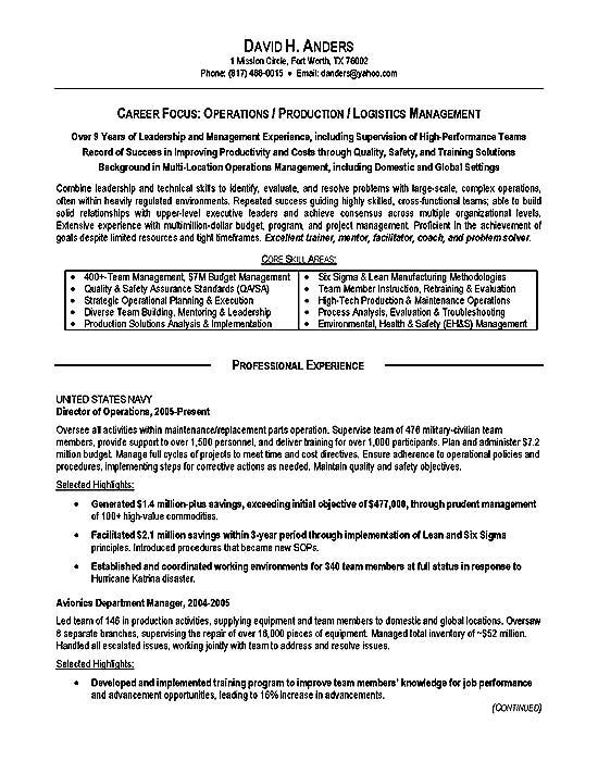Federal Resume Sample Pdf