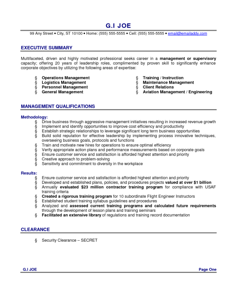 One Page Executive Resume Examples