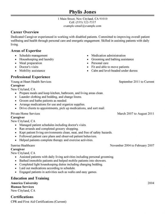 Cv Resume Example Jobs