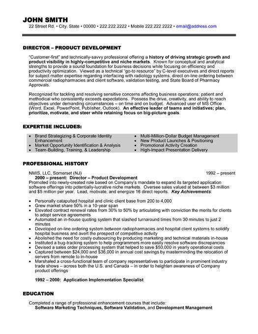 Sales Director Resume Format