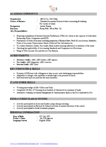 Chartered Accountant Cv Example