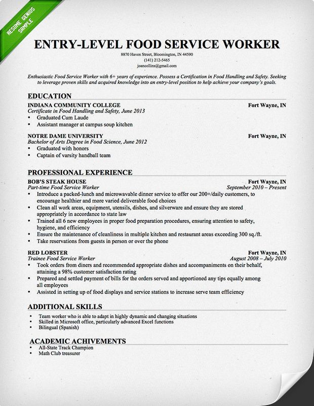Entry Level Resume Template Word Download