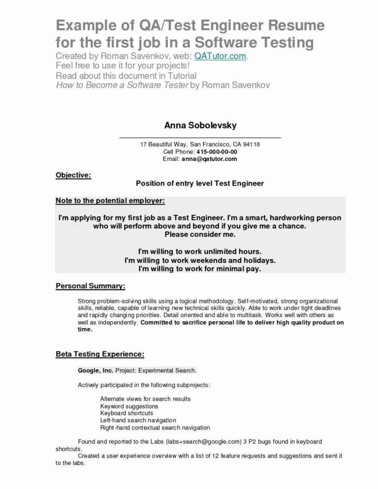 First Job Resume Examples