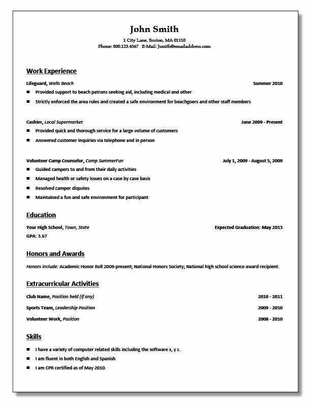 Great Resume Examples For Highschool Students