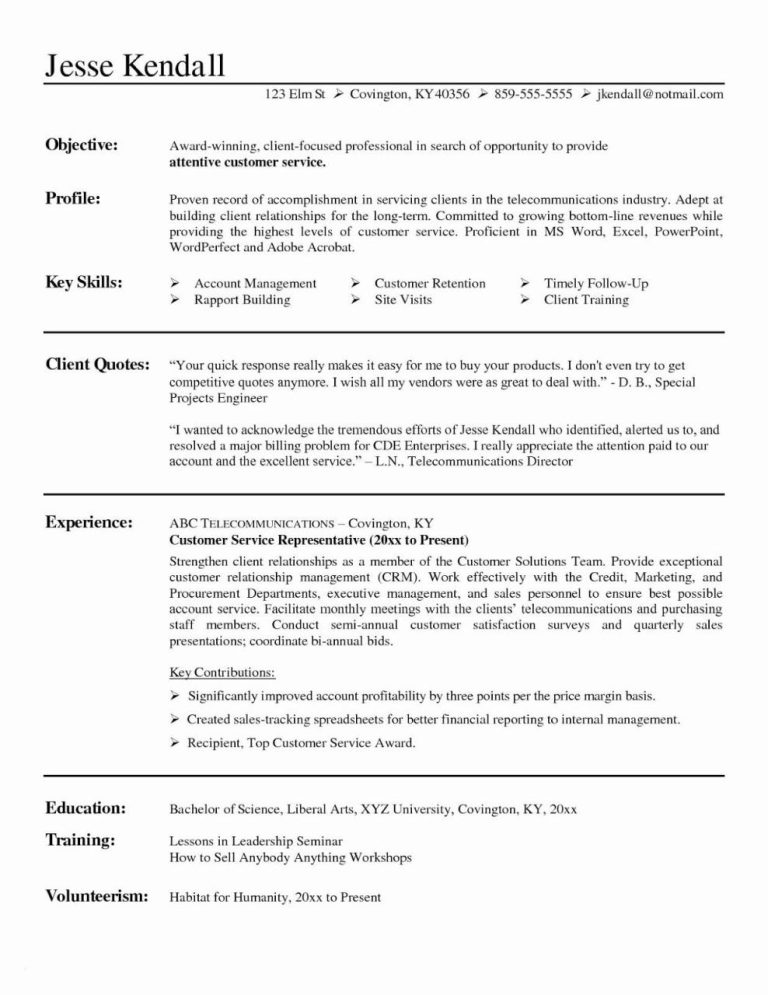 2019 Resume Templates Examples