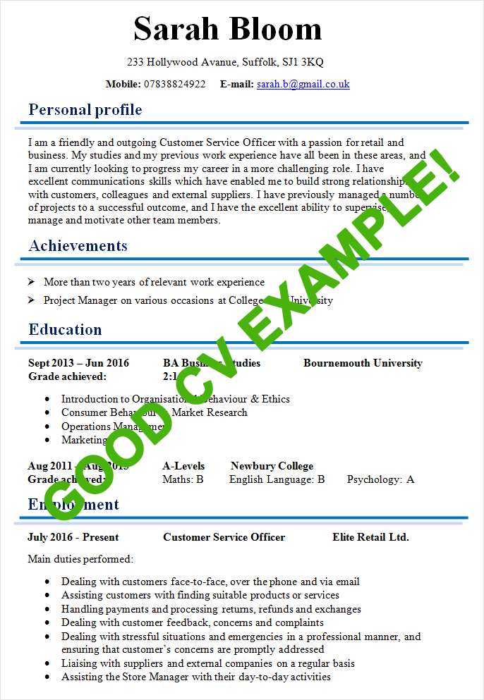 Example Of Excellent Cv