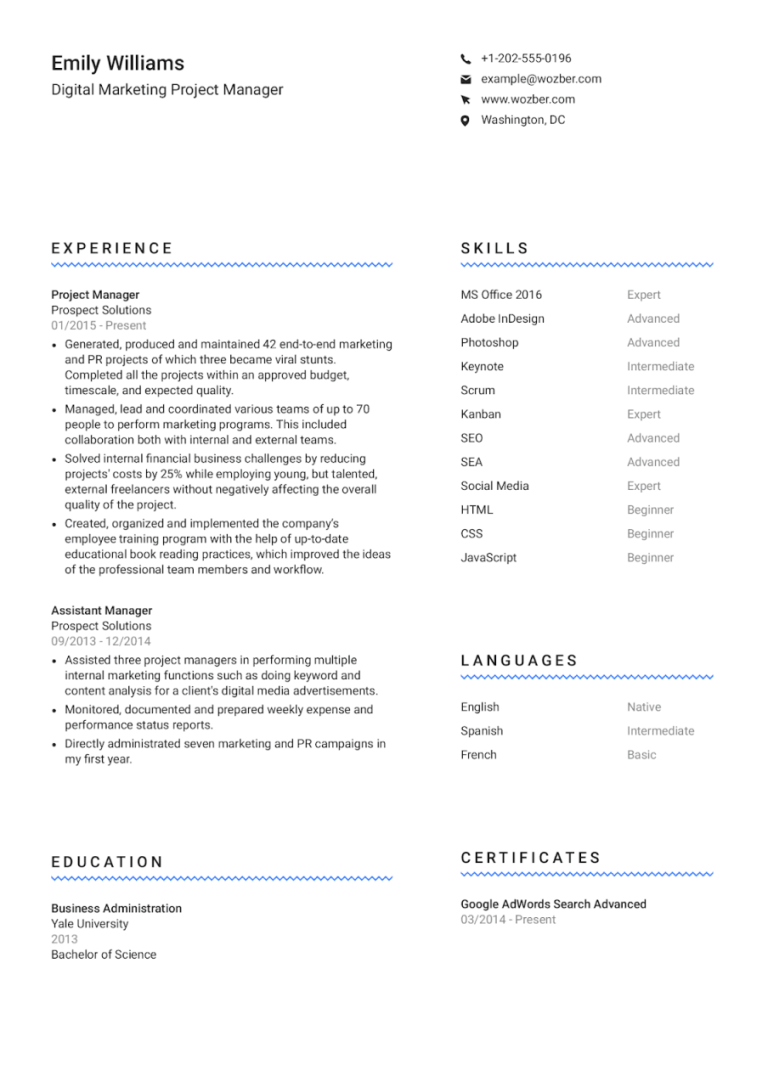 Marketing Manager Resume Sample