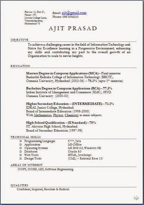 Curriculum Vitae Examples For Higher Education