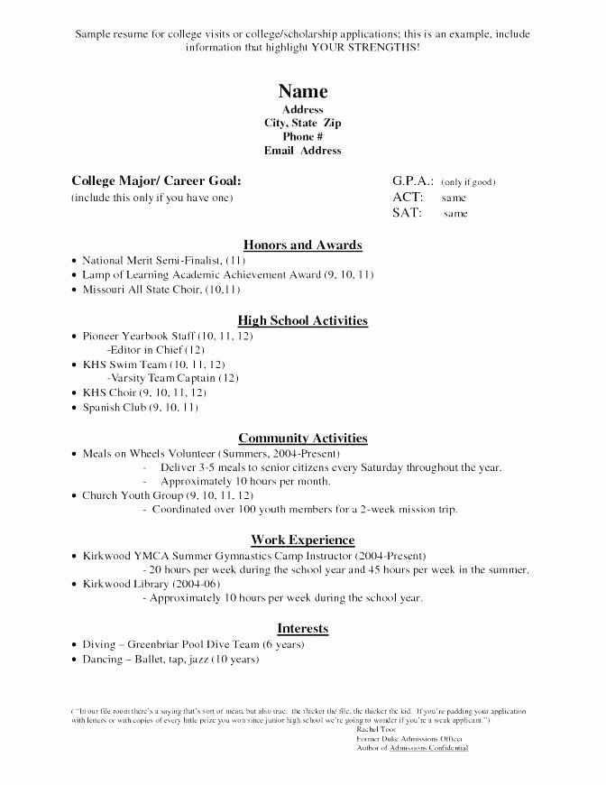 It Resume Examples No Experience