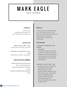 Military Resume Examples 2019