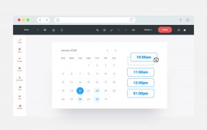 Calendly Embed Examples