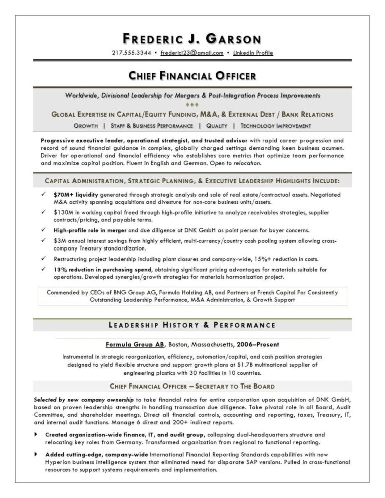Finance Director Resume Examples
