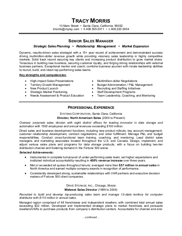 2 Page Resume Header Examples