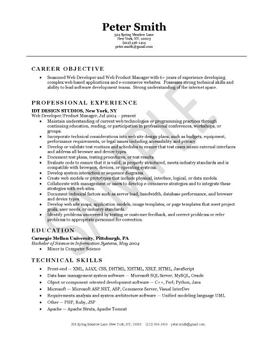 Great Cv Profile Examples