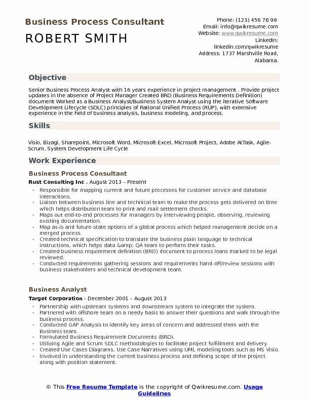 Business Process Analyst Resume