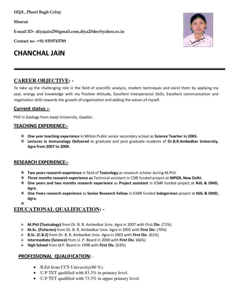 Cv Sample For Job Application