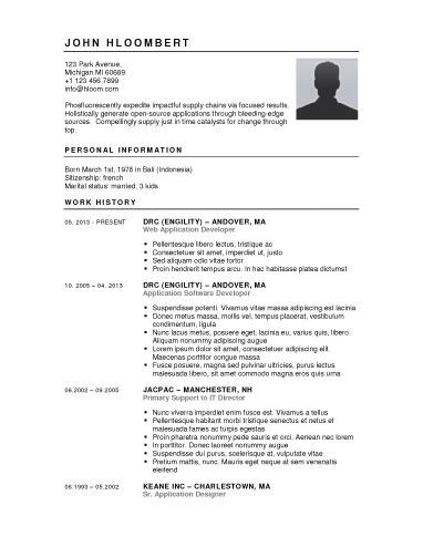 Resume Template Examples