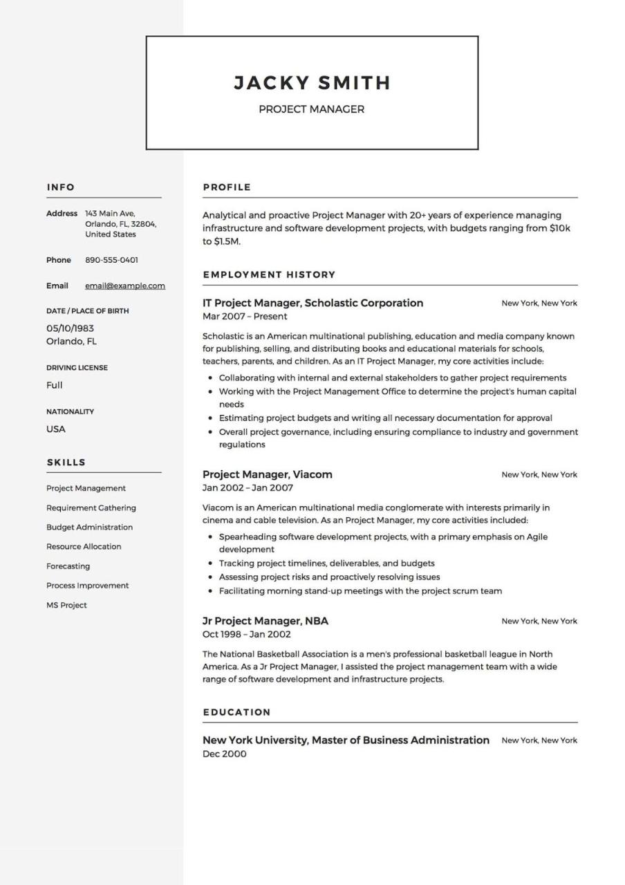 Project Manager Resume Examples 2019
