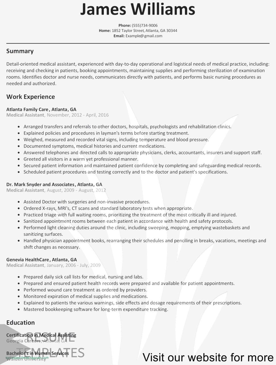 Blank Cv Template For Students