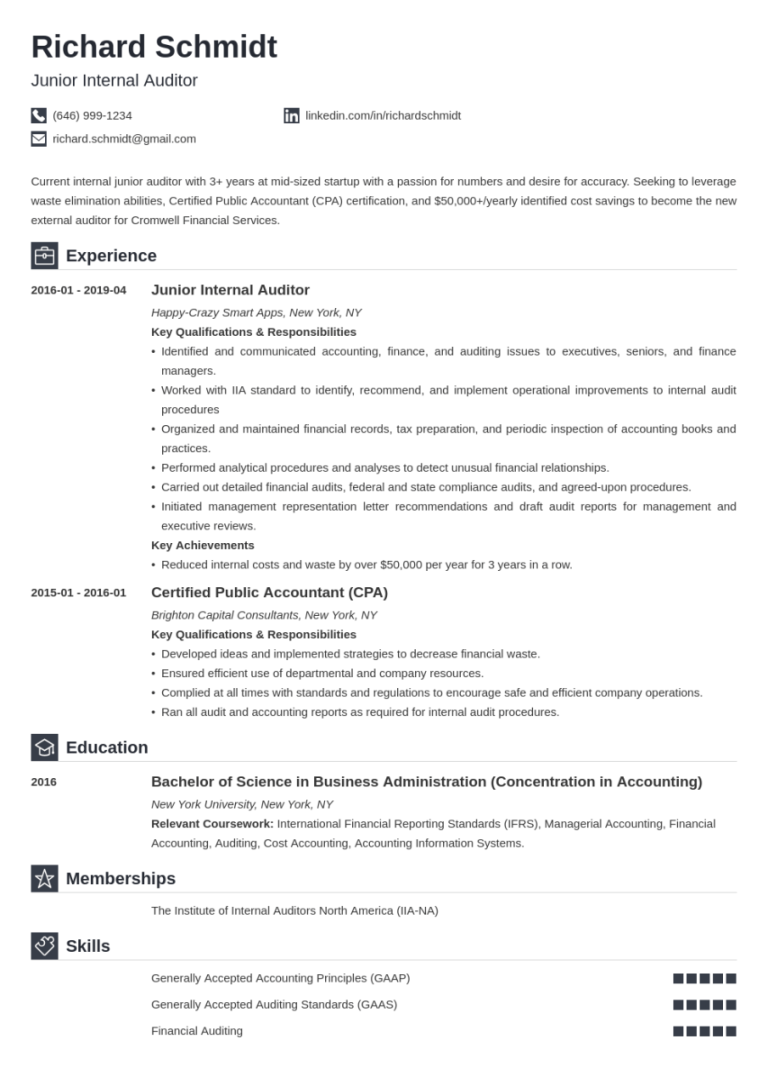 Auditor Resume Example