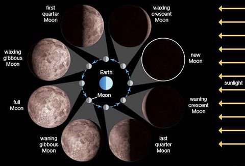 Lunar Calendar Definition And Examples