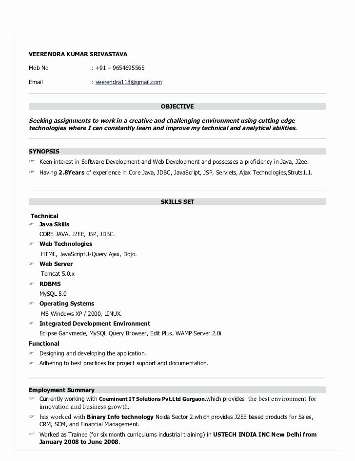 Best Resume Format For Freshers Free Download Pdf