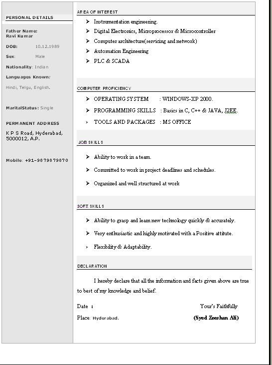 Simple Resume Format Download In Word