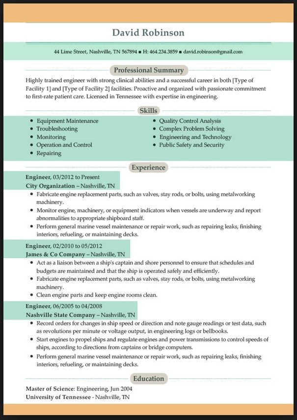 Best Resume Format For Professionals
