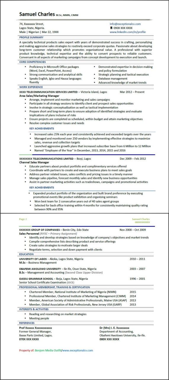 How To Make A Good Cv In Nigeria