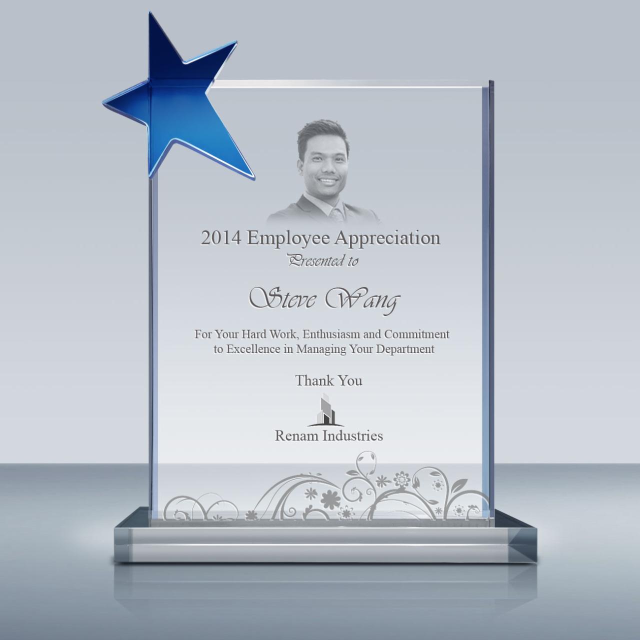 Employee Recognition Star Plaque (027) Goodcount Awards Custom