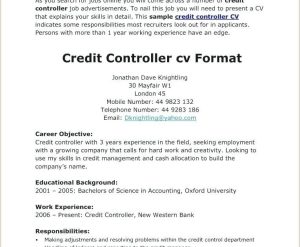 Cv Format For Job In Zambia CVCROT