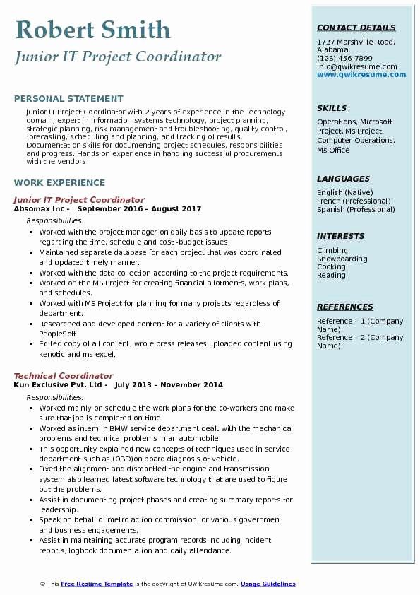 Entry Level Project Manager Resume Summary Coverletterpedia