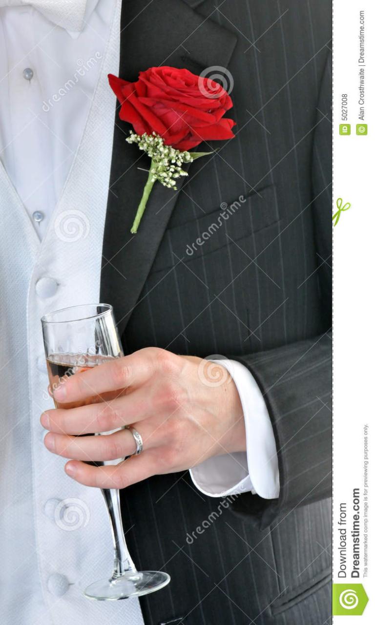 Groom's Toast stock photo. Image of gown, marriage, bridal 5027008