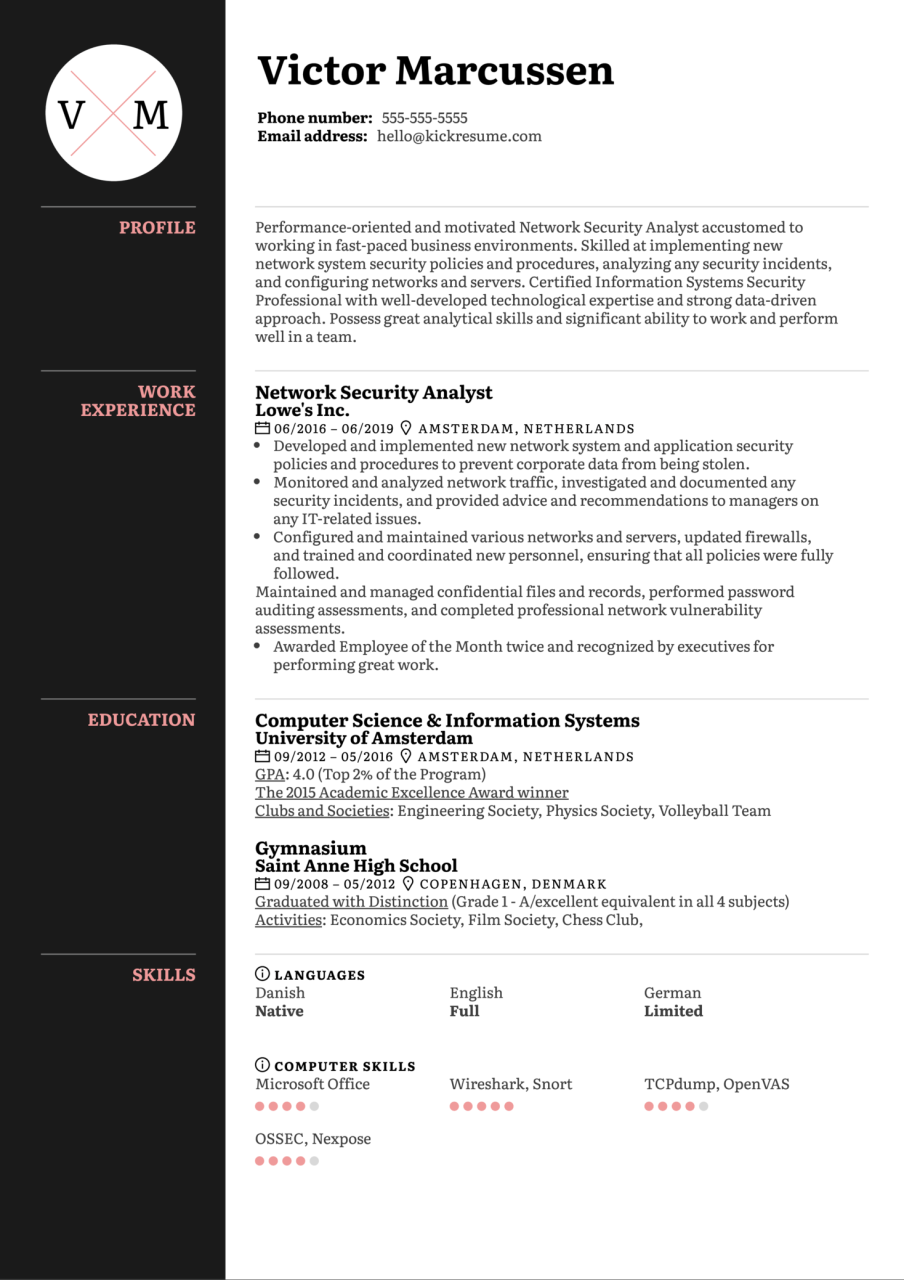 It Security Analyst Resume Sample PDF Template