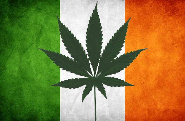 Top London & UK & Ireland & Scotland & Wales Weed From