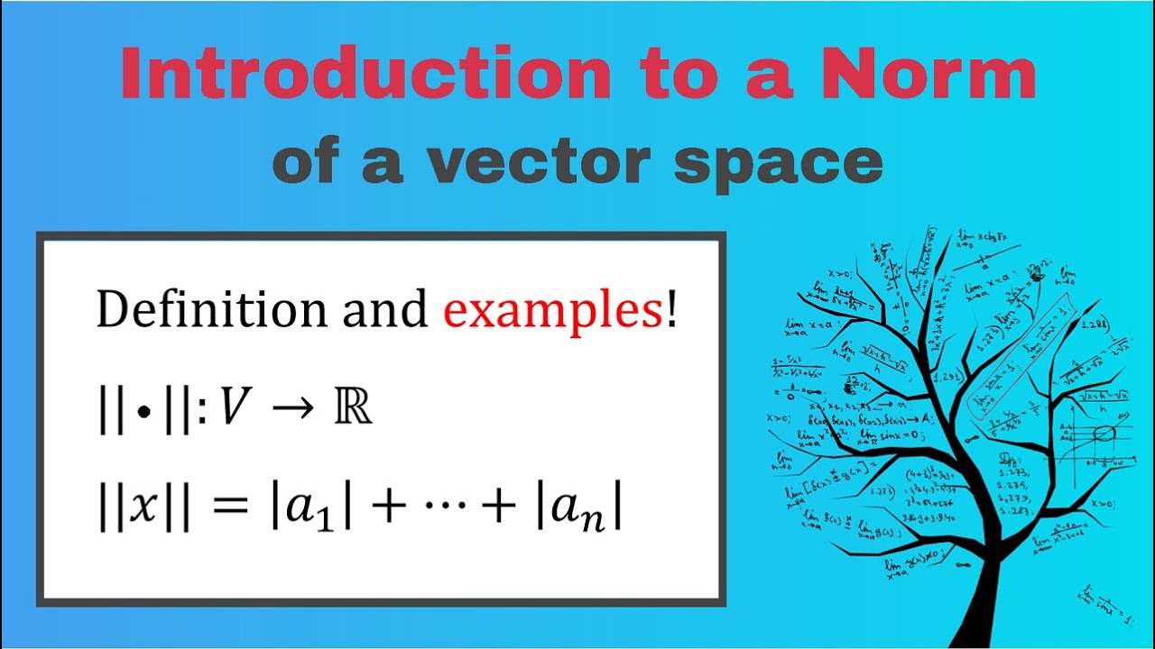 Normed Vector Space. Definition Norm and Examples Normed Linear Space