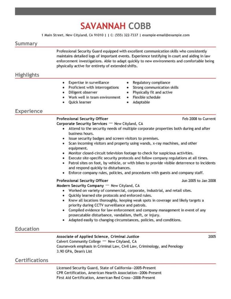It Security Cv Example